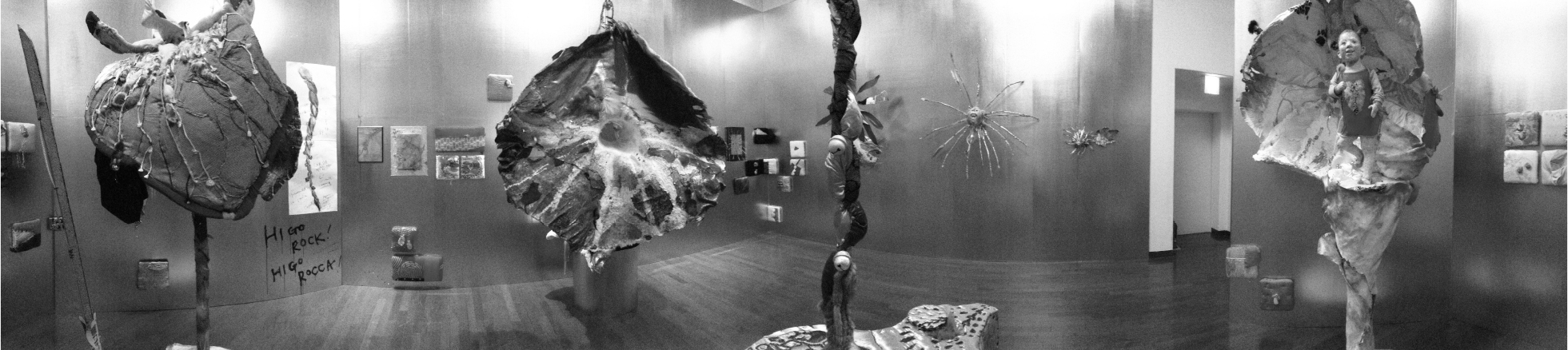 「誉のくまもと展」熊本市現代美術館展示より 今田淳子『震撼の花たち』