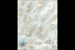 Catalogue [UNION – Junko Imada]  
2005, Castel Noarna
Curator : Antonio Cossu
Text : Valerio Deho`
48p, 20x24cm
